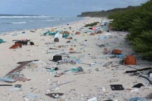 henderson-island---littered-beach